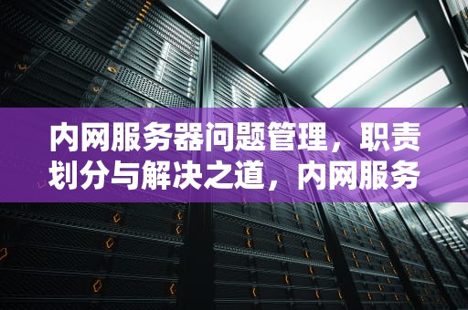 内网服务器问题管理，职责划分与解决之道，内网服务器问题是哪个管道问题