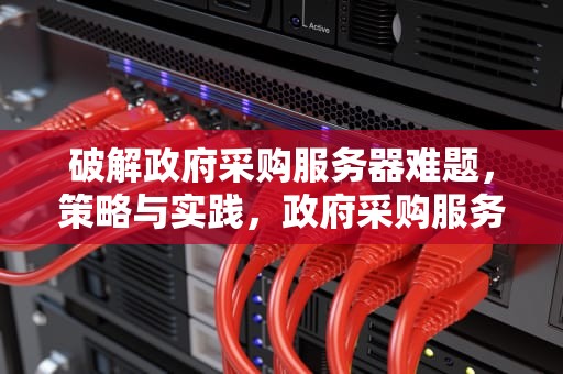 破解政府采购服务器难题，策略与实践，政府采购服务器问题解决方案