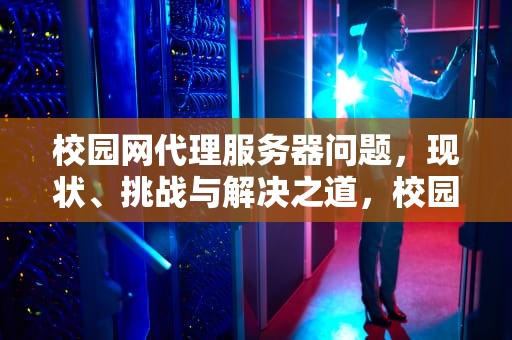 校园网代理服务器问题，现状、挑战与解决之道，校园网代理服务器问题怎么解决