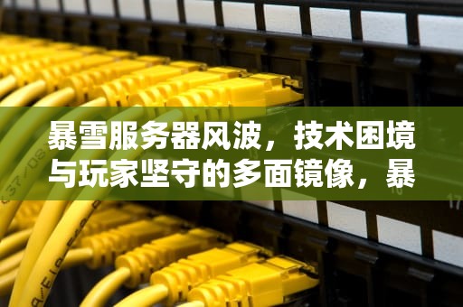 暴雪服务器风波，技术困境与玩家坚守的多面镜像，暴雪服务器出现问题了吗怎么解决