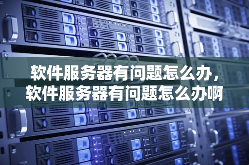 软件服务器有问题怎么办，软件服务器有问题怎么办啊