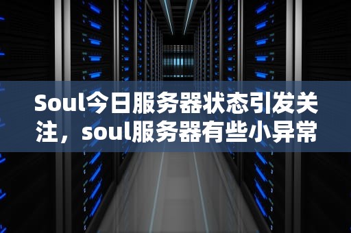 Soul今日服务器状态引发关注，soul服务器有些小异常