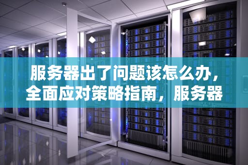 服务器出了问题该怎么办，全面应对策略指南，服务器出了问题该怎么办呢