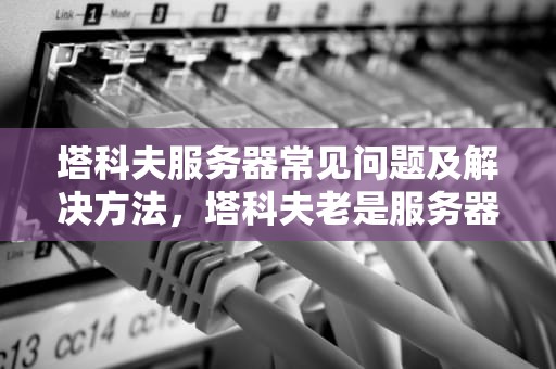 塔科夫服务器常见问题及解决方法，塔科夫老是服务器连接中断