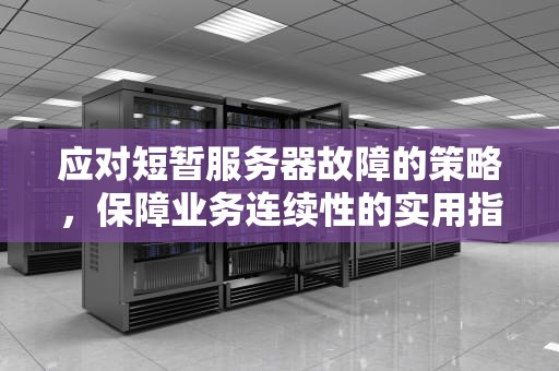应对短暂服务器故障的策略，保障业务连续性的实用指南，短暂的服务器怎么解决问题呢