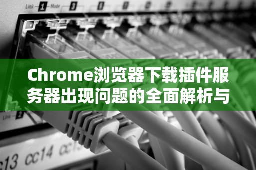 Chrome浏览器下载插件服务器出现问题的全面解析与解决方案，chrome下载插件网络错误