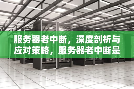 服务器老中断，深度剖析与应对策略，服务器老中断是什么问题啊