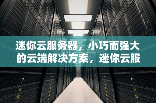迷你云服务器，小巧而强大的云端解决方案，迷你云服务器是什么问题啊