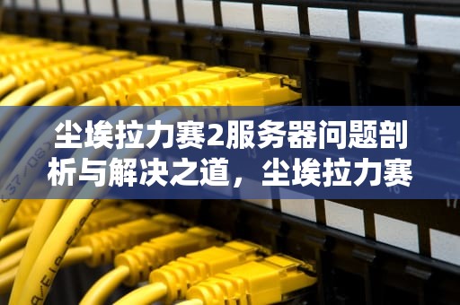 尘埃拉力赛2服务器问题剖析与解决之道，尘埃拉力赛2.0服务器