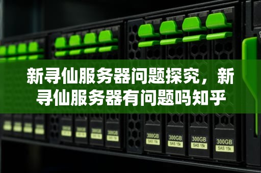 新寻仙服务器问题探究，新寻仙服务器有问题吗知乎
