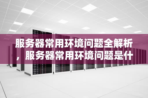 服务器常用环境问题全解析，服务器常用环境问题是什么意思