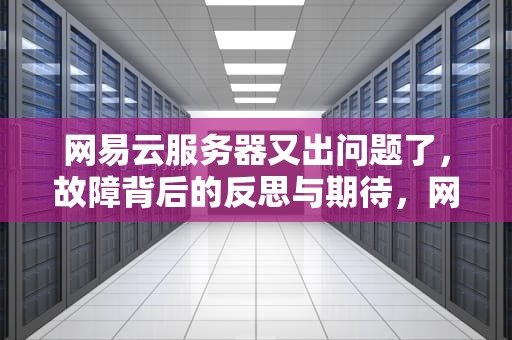 网易云服务器又出问题了，故障背后的反思与期待，网易云服务器又出问题了怎么办