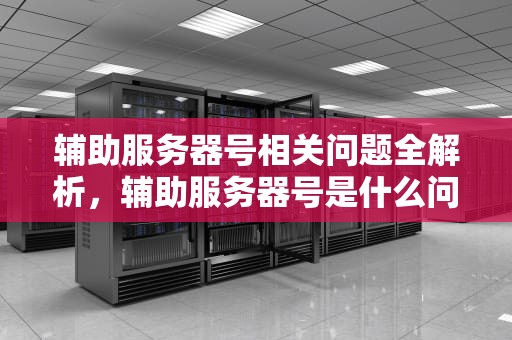 辅助服务器号相关问题全解析，辅助服务器号是什么问题啊