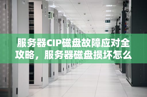 服务器CIP磁盘故障应对全攻略，服务器磁盘损坏怎么修复