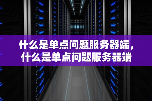 什么是单点问题服务器端，什么是单点问题服务器端