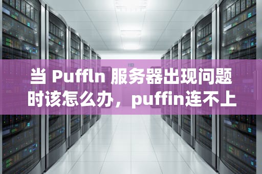 当 Puffln 服务器出现问题时该怎么办，puffin连不上服务器