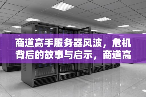 商道高手服务器风波，危机背后的故事与启示，商道高手服务器大全