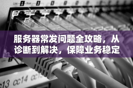 服务器常发问题全攻略，从诊断到解决，保障业务稳定运行，服务器常发问题怎么办啊