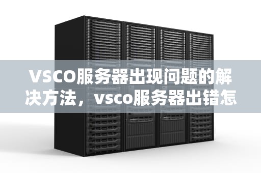 VSCO服务器出现问题的解决方法，vsco服务器出错怎么办