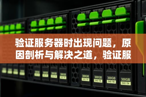 验证服务器时出现问题，原因剖析与解决之道，验证服务器时出现问题吗怎么办