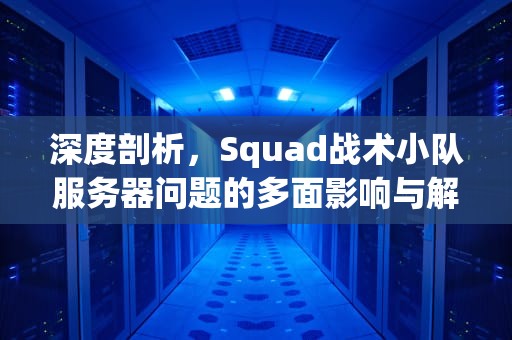深度剖析，Squad战术小队服务器问题的多面影响与解决之道，squad战术小队服务器没人