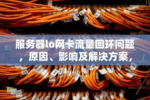 服务器lo网卡流量回环问题，原因、影响及解决方案，服务器网络流量
