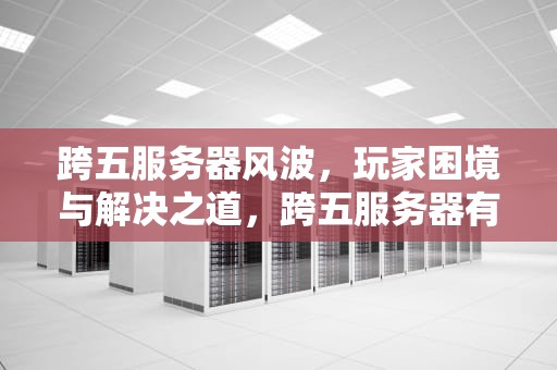 跨五服务器风波，玩家困境与解决之道，跨五服务器有问题了怎么办