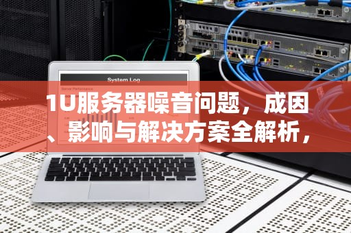 1U服务器噪音问题，成因、影响与解决方案全解析，2u服务器噪音