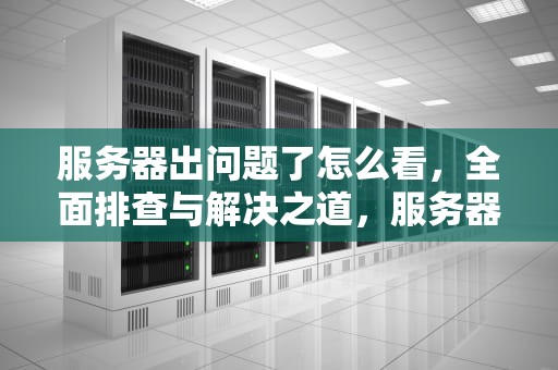 服务器出问题了怎么看，全面排查与解决之道，服务器出问题了怎么看出来
