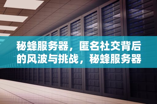 秘蜂服务器，匿名社交背后的风波与挑战，秘蜂服务器出问题了吗知乎