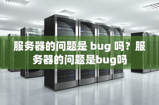 服务器的问题是 bug 吗？服务器的问题是bug吗