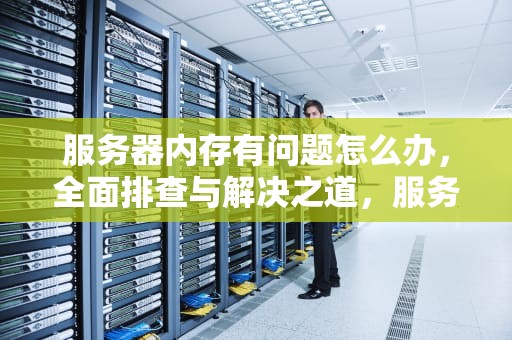 服务器内存有问题怎么办，全面排查与解决之道，服务器内存有问题怎么办啊