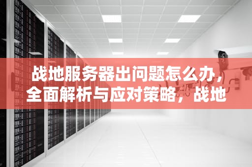 战地服务器出问题怎么办，全面解析与应对策略，战地服务器出问题怎么办啊