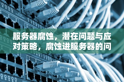 服务器腐蚀，潜在问题与应对策略，腐蚀进服务器的问题有哪些呢