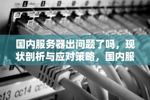国内服务器出问题了吗，现状剖析与应对策略，国内服务器出问题了吗现在