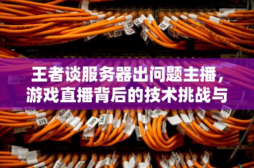 王者谈服务器出问题主播，游戏直播背后的技术挑战与应对，王者谈服务器出问题主播会知道吗