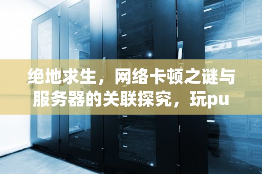 绝地求生，网络卡顿之谜与服务器的关联探究，玩pubg网卡怎么办