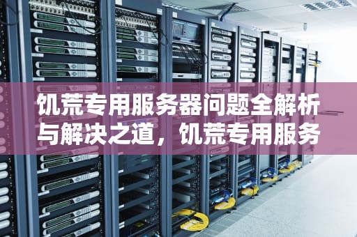 饥荒专用服务器问题全解析与解决之道，饥荒专用服务器有点问题