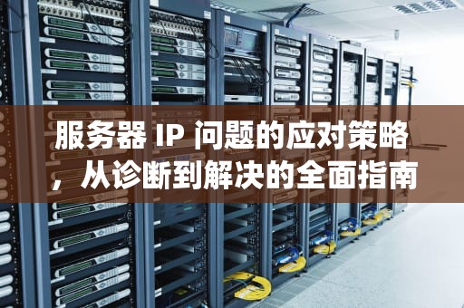 服务器 IP 问题的应对策略，从诊断到解决的全面指南，服务器ip的问题怎么办恢复