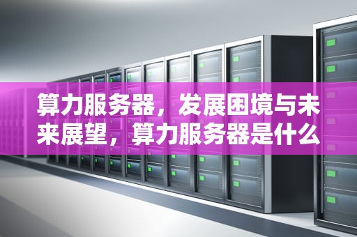 算力服务器，发展困境与未来展望，算力服务器是什么东西