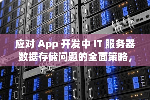 应对 App 开发中 IT 服务器数据存储问题的全面策略，app开发it服务器数据存储问题有哪些