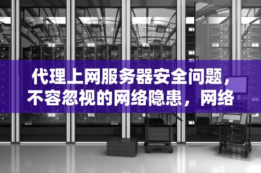 代理上网服务器安全问题，不容忽视的网络隐患，网络代理服务器有问题