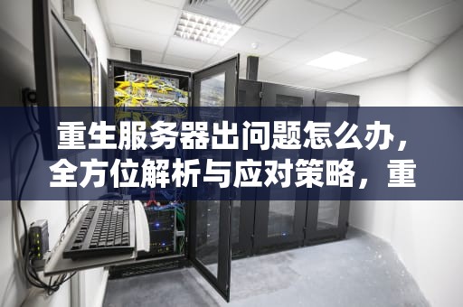 重生服务器出问题怎么办，全方位解析与应对策略，重生服务器出问题怎么办啊