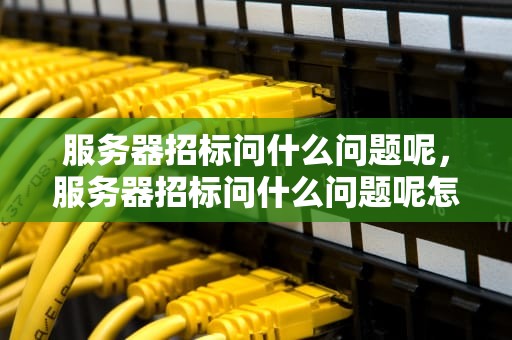 服务器招标问什么问题呢，服务器招标问什么问题呢怎么回答