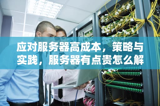 应对服务器高成本，策略与实践，服务器有点贵怎么解决问题啊