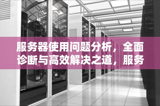 服务器使用问题分析，全面诊断与高效解决之道，服务器的使用问题分析怎么写的