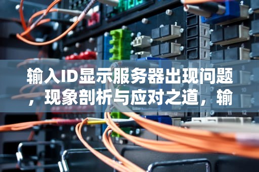输入ID显示服务器出现问题，现象剖析与应对之道，输入id显示服务器出现问题怎么办