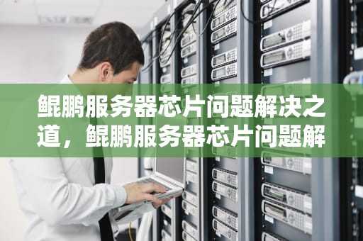 鲲鹏服务器芯片问题解决之道，鲲鹏服务器芯片问题解决了吗
