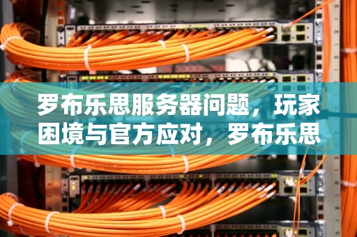 罗布乐思服务器问题，玩家困境与官方应对，罗布乐思服务器错误