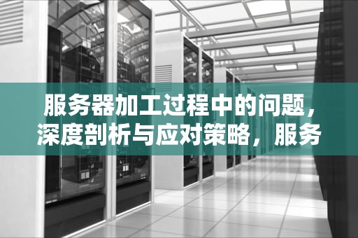 服务器加工过程中的问题，深度剖析与应对策略，服务器加工过程中的问题有哪些